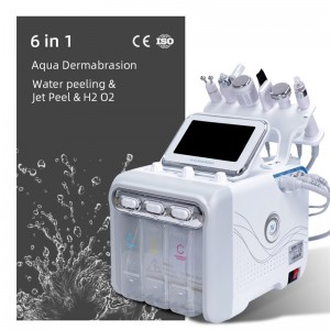 Good quality Skin Care Options Ultrasonic How To Use - SUS 6 in 1 Aqua Dermabrasion Facial Machine – SUSLASER