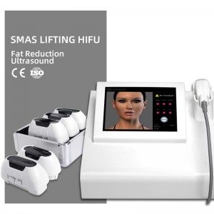 Reliable Supplier China Professional 3 in 1 Portable Vaginal Tightening Hifu Face Lifting and Body Slimming 3D 4D Hifu Beauty Machine with 10 Cartridges