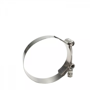 Wholesale Price China Perforated Stainless Steel American Type Gear Fuel Hose Clamp