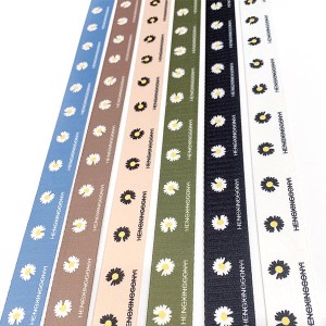 Custom Design New Printed Elastic Tape Ribbon