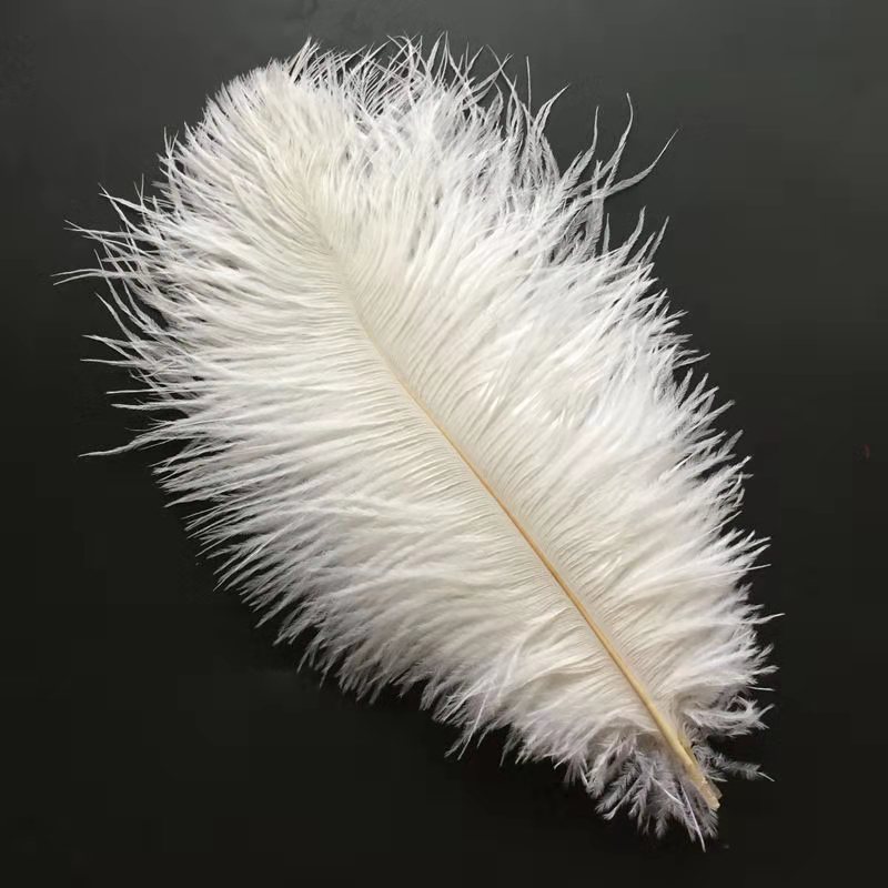 Colorful Ostrich Feather Trims for Skirt/Dress/Costume Ribbon Feather Trimming DIY Party Craft