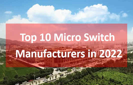 Top 10 Micro Switch Manufacturers in 2022：The Ultimate Guide to Help You!