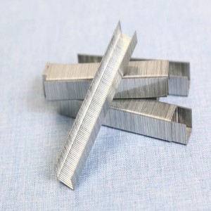 10F series staples 10mm 1010F from China