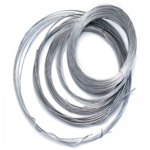 Hot sale factory direct  China 2.0mm Hot Dipped Galvanized Steel Wire