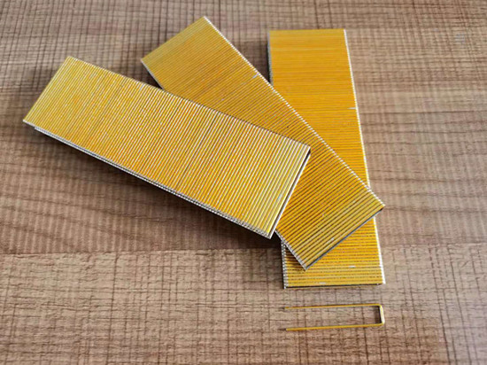 Special Design for Galvanized Staples Menards - manual staples gold made in China  – SXJ