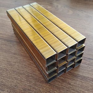Professional Design Galvanized Staples For Cedar Shingles - High quality 80 series staples gold color  – SXJ