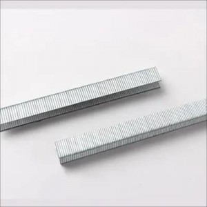 14(N) Staples Fine Wire Staples Fine Staples Nail source manufacturer
