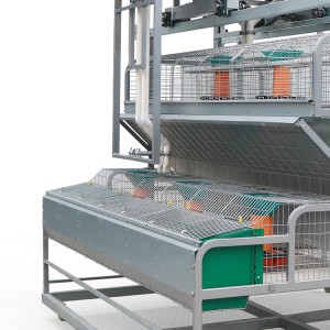 Automatic System Battery Cages for South Africa Animal Rabbit Cages