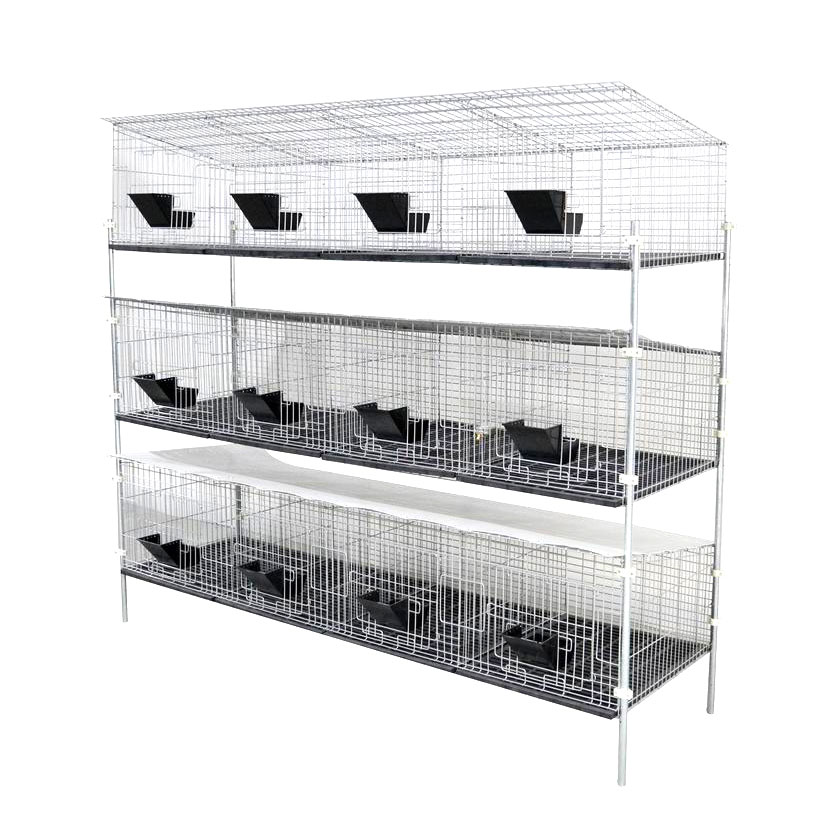 rabbit cage of 12 doors(H type) Featured Image