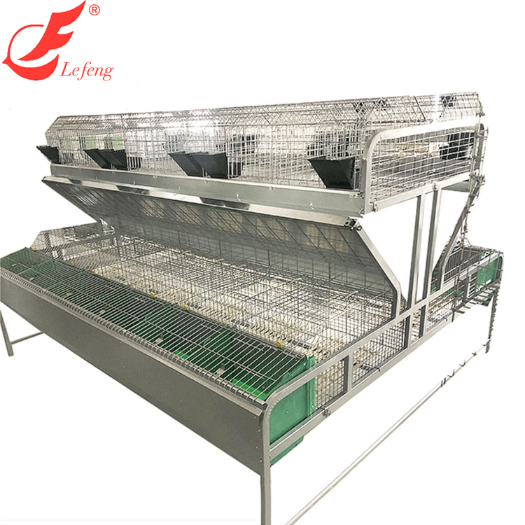 Automatic Animal Cages Commercial Rabbit Cages Featured Image
