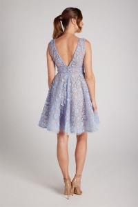 ब्लू मेश वी नेक स्लीवलेस ड्रेस निर्माता