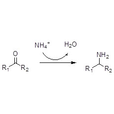 Amine Dehydrogenase (AmDH)