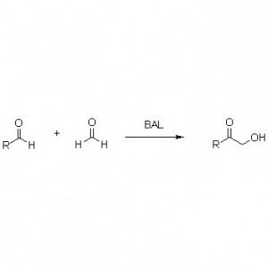 Benzaldehyde lyase (BAL)