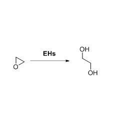 Epoxide hydrolase EH1
