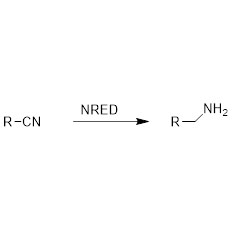 Nitrile reductase (NRED)