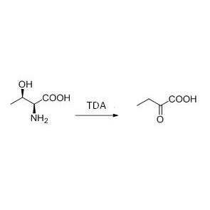 Threonine deaminase (TDA)