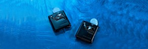Wholesale Price Jewelry Gift Boxes - LITTLE WHALE PERFUME – BXL Creative Packaging