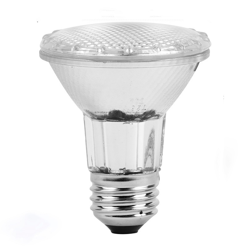 Classic Full Glass Dimmable PAR20 LED Flood Light Bulbs (2)