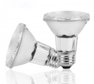 Lampên Ronahî yên Lehiya Lehiyê ya Klasîk a Kulîlk a Bi tevahî Glass PAR20