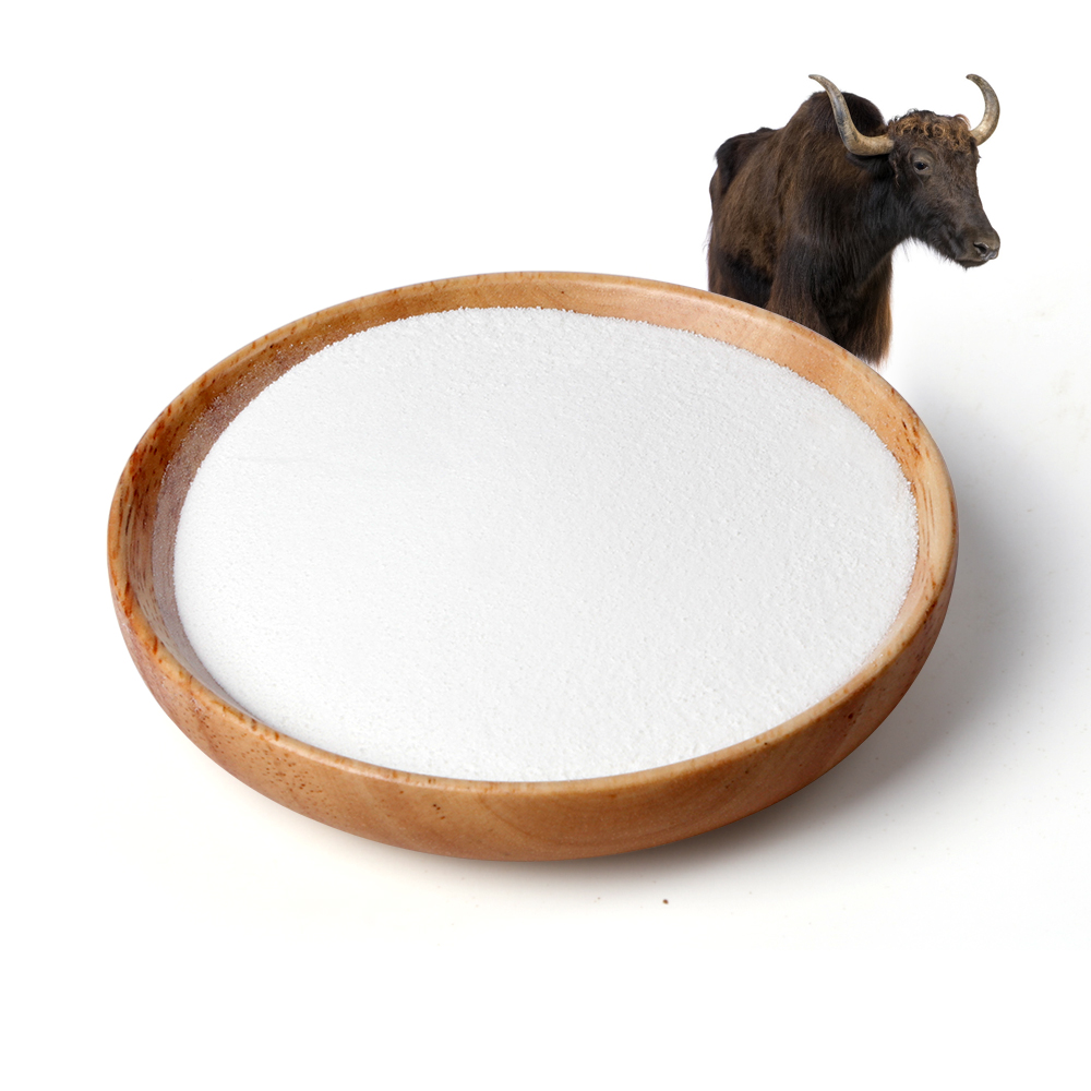 China Manufacturer for Marine Collagen Peptides Reviews -  Factory  Yak bovine peptide powder for food beverage and raw – Taiai Peptide