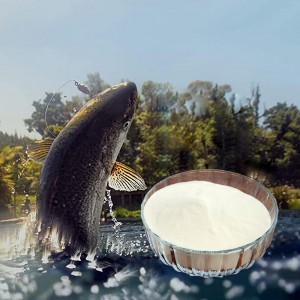 Marine fish peptide powder raw for food and beverages