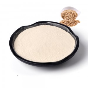 professional factory for Organic Collagen Protein Powder - Hot sale Oat protein peptide powder – Taiai Peptide