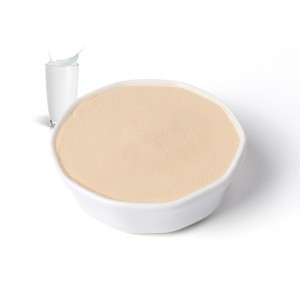 Whey extract protein peptide powder