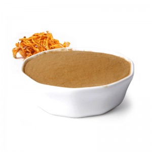 Militaris extract protein peptide powder