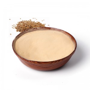 Lintseed extract protein peptide powder