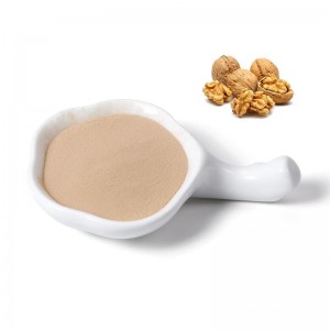 Walnut extract protein peptide oligopeptide powder