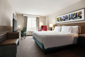 Namještaj za hotelske sobe Garden Inn by Hilton s 3 zvjezdice