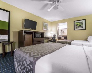 Rodeway Inn & Suites Economy Business Hotel Guļamistabas mēbeles