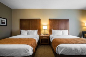 „Comfort Inn Choice“ stilingi jaukių viešbučių kambarių baldai