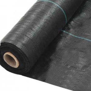 China Supplier Geotextile Woven And Nonwoven - Agricultural Ground Cover PP Weed Control Fabric – Taishan