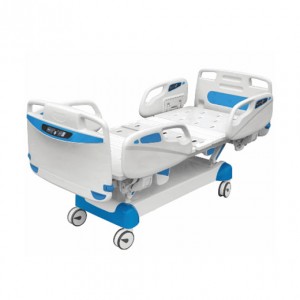 D-31 Multi-Function Electric Bed