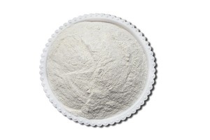 Manufacturer of China Food Grade Xanthan Gum with Best Price