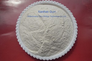 Xanthan Gum (XC Polymer)
