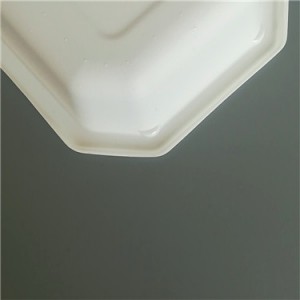Inflight Cpet Tray TY-005
