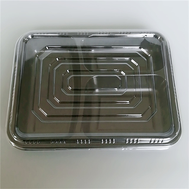 plastic food container 3 compartment containers