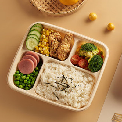 biodegradable plastic food tray Featured Image