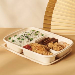 biodegradable plastic food tray