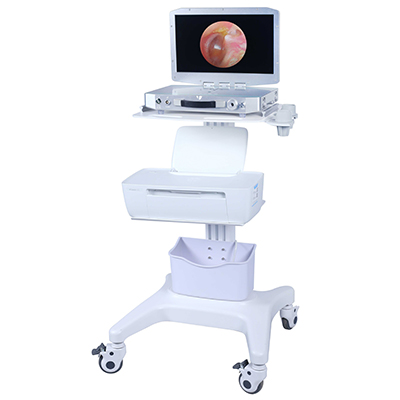 Medical endoscope camera system application in otolaryngology field