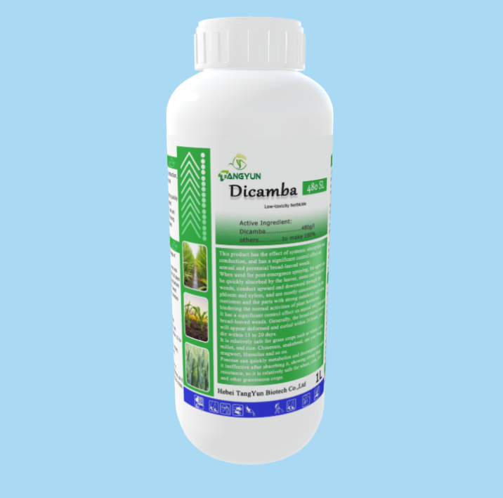 Weed control herbicide Dicamba 480g/l SL