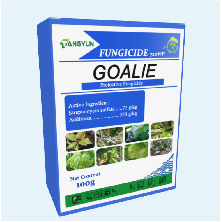 Low price for Chlorpyrifos 50% Ec - Good quality agrochemical Fungicide Streptomycin sulfate 72%SP with wholesale price – Tangyun