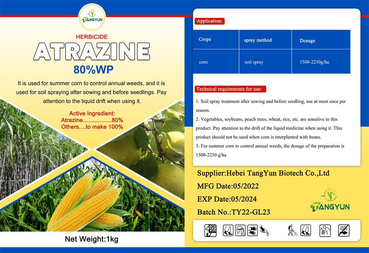 Popular Selective herbicide Weedicide For Maize Atrazine 48%wp