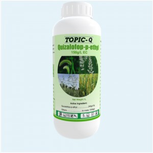 OEM Factory for Imidacloprid 70% Wdg - Hot Sale systemic herbicide Quizalofop-p-ethyl 10% EC – Tangyun