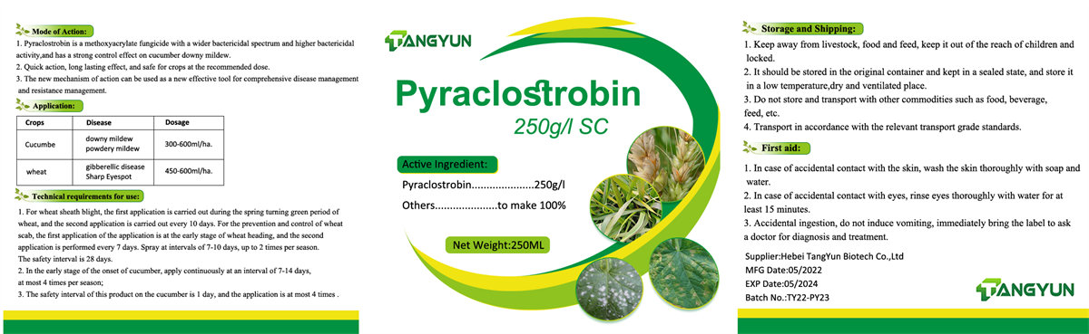 Most effective Fungicide with factory price Pyraclostrobin 30% EC 80%WDG wholesaler