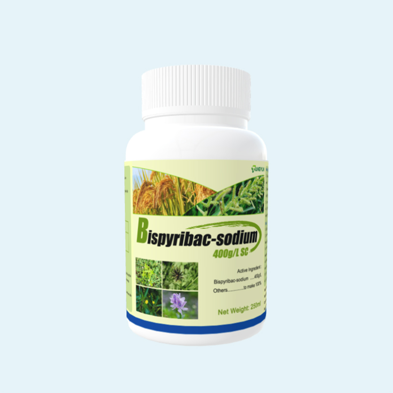 Rice field herbicide with best quality Bispyribac-sodium40%SC 40%WDG