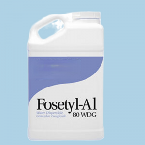Special Design for Fosthiazate 5% Gr - Best Products Disease Control Fosetyl-Aluminium 80%WDG Fungicide  – Tangyun