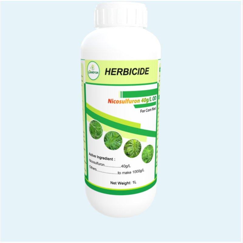Big discounting Ethephon 40% Sl - Herbicid Nicosulfuron 40g/l OD for weeds control – Tangyun